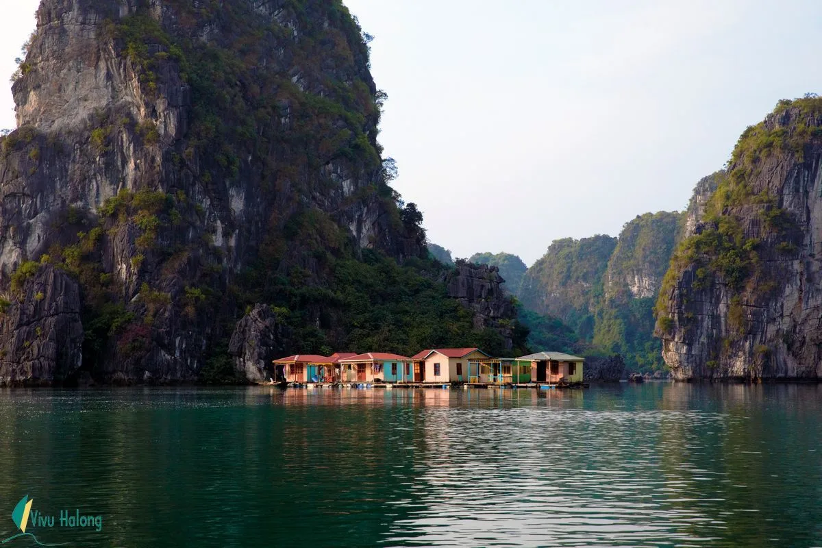 Làng chài trên vịnh Hạ Long