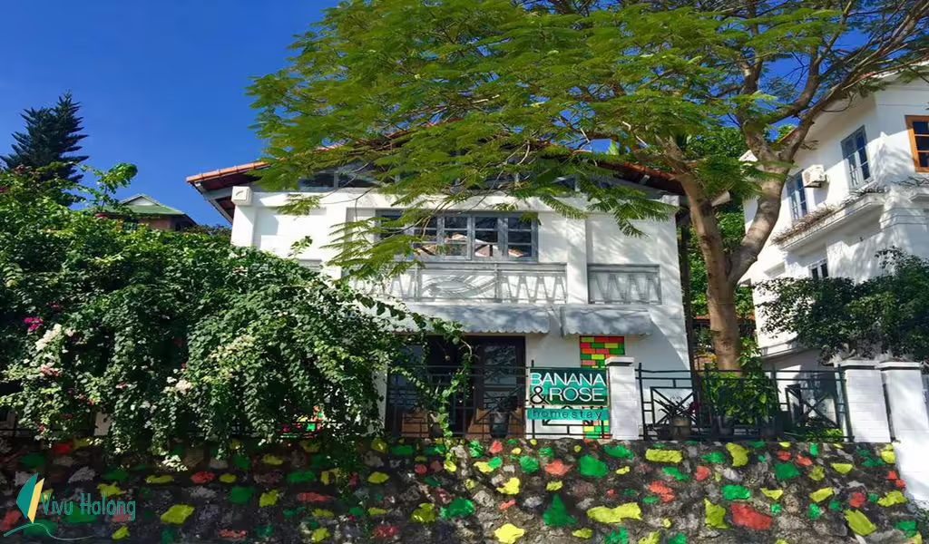 Homestay Banana & Rose trên đảo Tuần Châu 