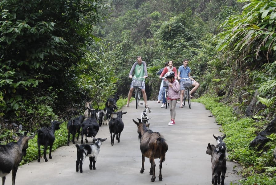 Cycling in Viet Hai village