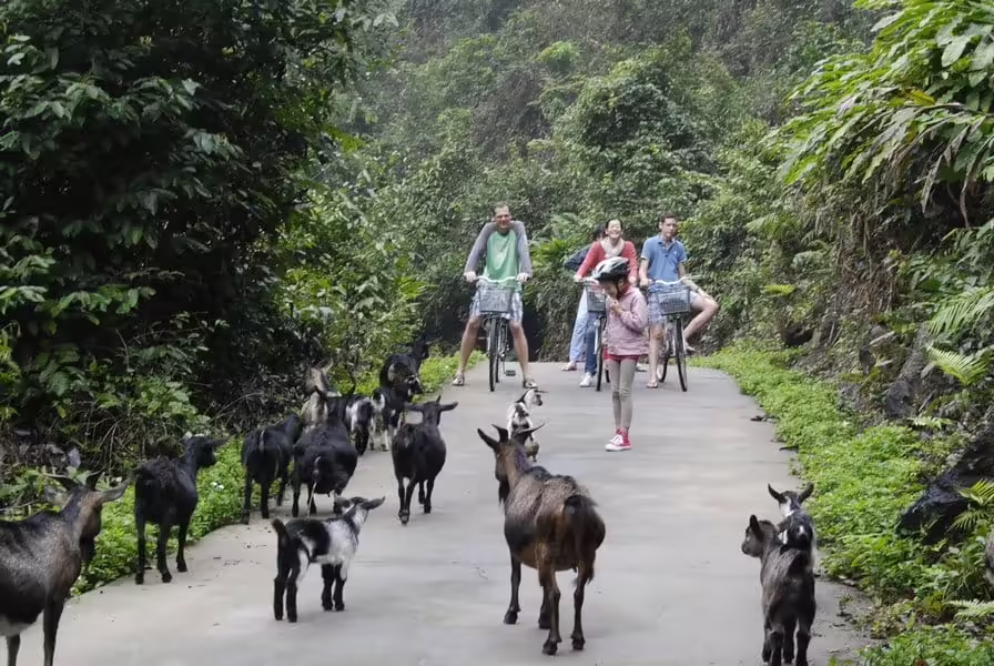 Cycling in Viet Hai village 