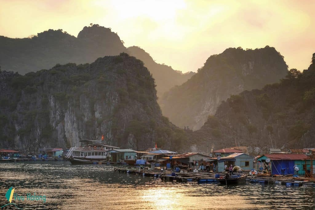 Local floating villages on Cat Ba island 