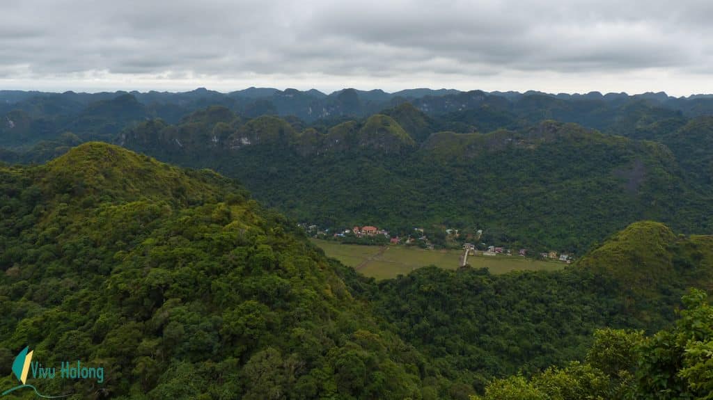 Viet Hai village in the jungle of Cat Ba island 