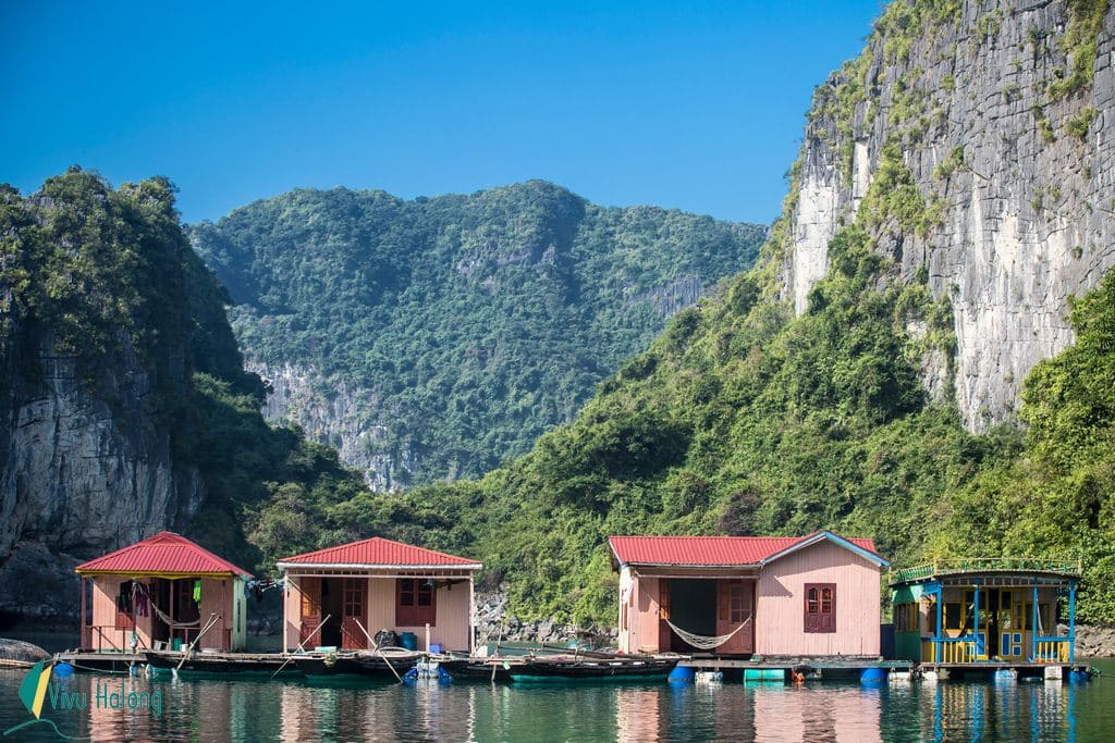 Floating houses in Vung Vieng fishing village