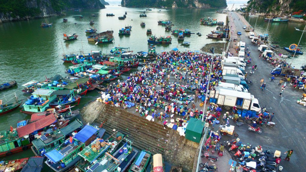 Local seafood market in Hon Gai 