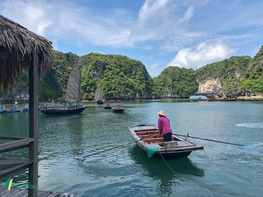 halong bay cruise from ho chi minh city