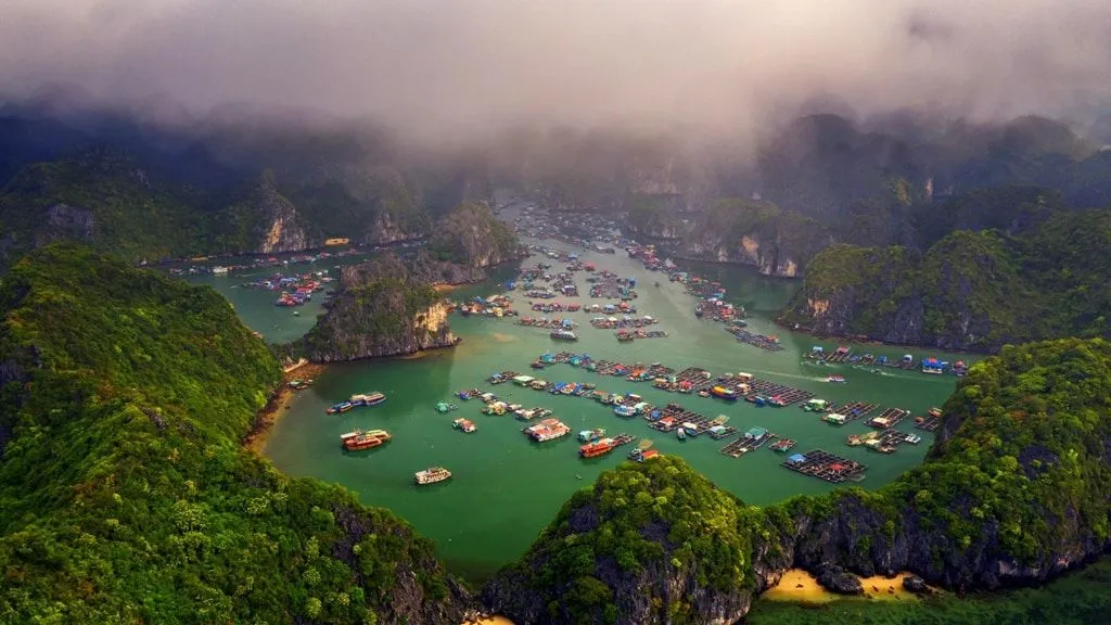 Làng chài trên vịnh Lan Hạ, đảo Cát Bà