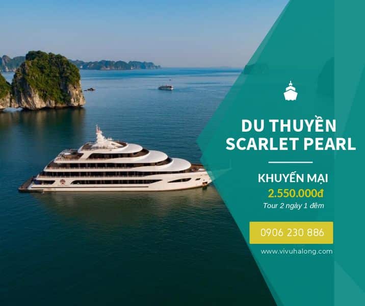 Du thuyền Scarlet Pearl