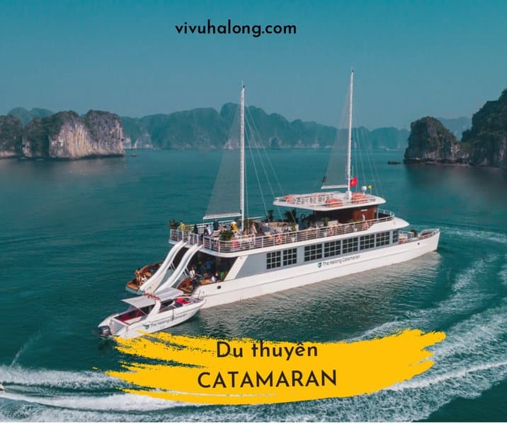 Du thuyền Catamaran thăm Vịnh Lan Hạ 1 ngày 