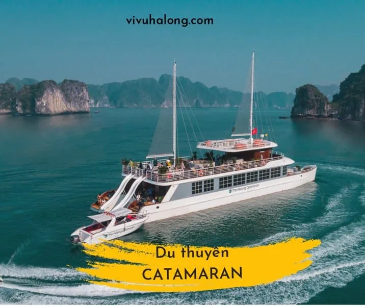 Du thuyền Catamaran thăm Vịnh Lan Hạ 1 ngày
