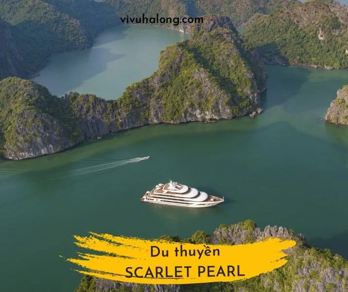 Du thuyền Scarlet Pearl