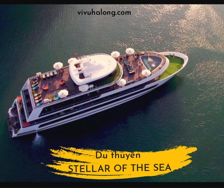 Du thuyền Stellar of the Sea