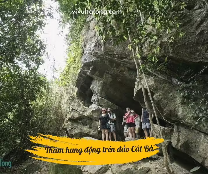 Khám phá hang động trên đảo Cát Bà