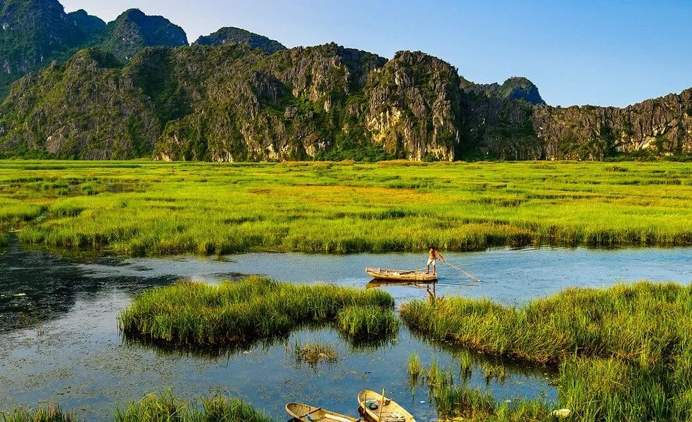 Van Long Wetland Area