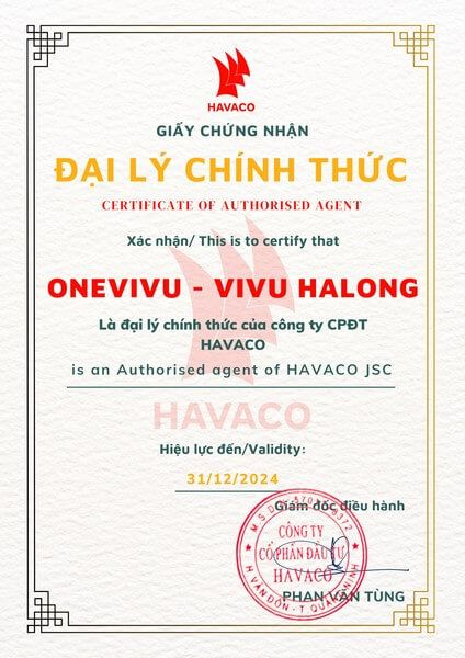 VivuHalong hân hạnh được trở thành đối tác tin cậy của công ty Havaco 