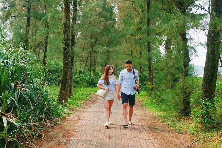 Con đường Tình Yêu trên Đảo Cô Tô 