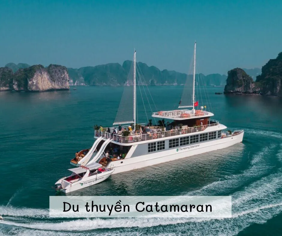 Du thuyền Catamaran thăm vịnh Lan Hạ 1 ngày