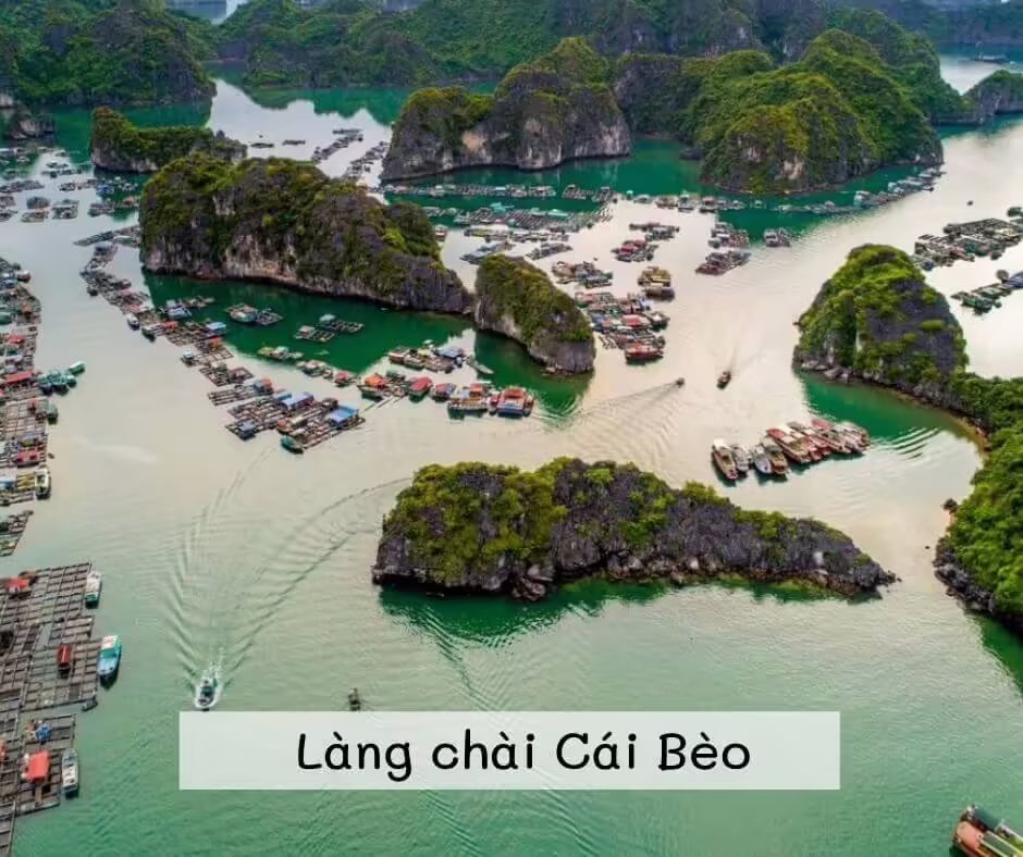 Làng chài Cái Bèo - Cát Bà
