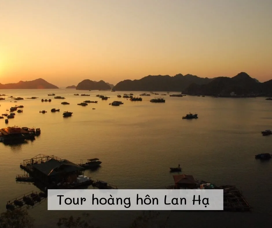 Tour ngắm hoàng hôn Vịnh Lan Hạ