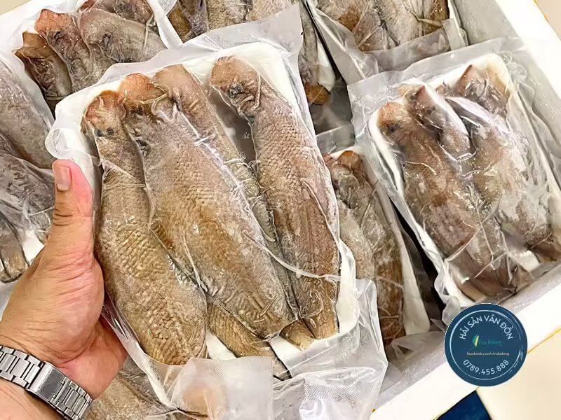 Cá bơn một nắng Vân Đồn tại Hà Nội
