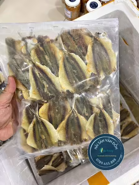 Cá chỉ vàng Vân Đồn, Quảng Ninh