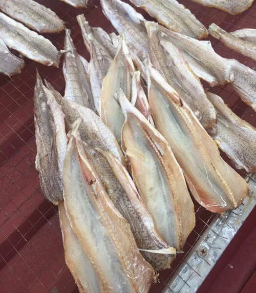Cá mối 1 nắng Quảng Ninh