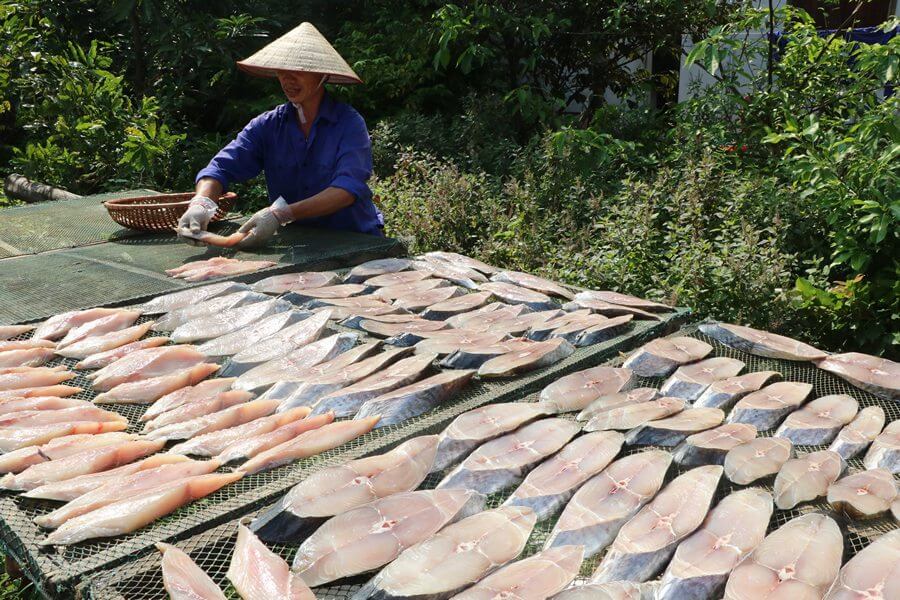 Quy trình phơi cá thu 1 nắng tự nhiên 