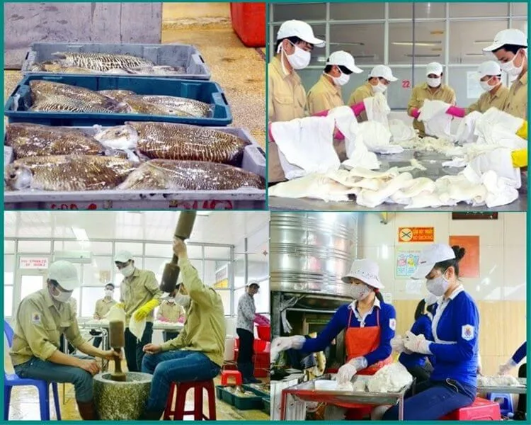 Quy trình chế biến chả mực Hạ Long 