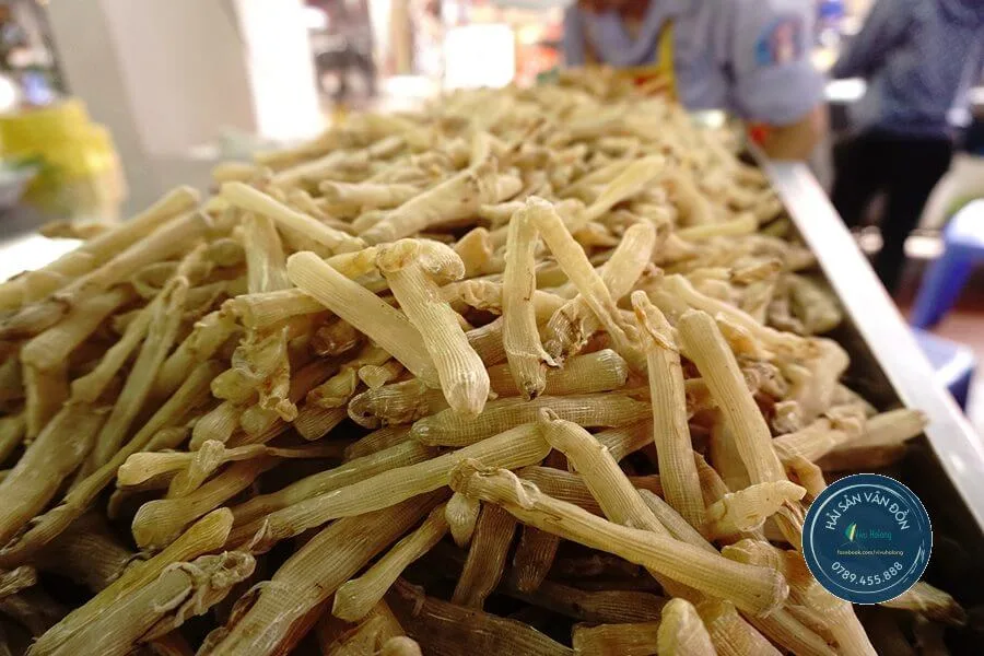 Sá sùng khô, đặc sản Vân Đồn