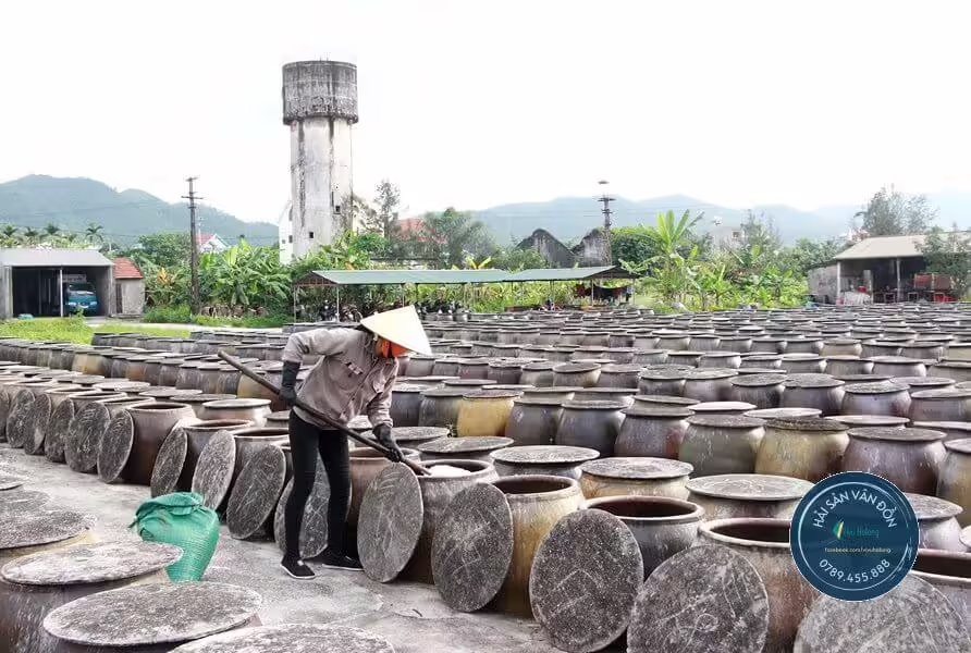 Quy trình sản xuất nước mắm sá sùng Vân Đồn