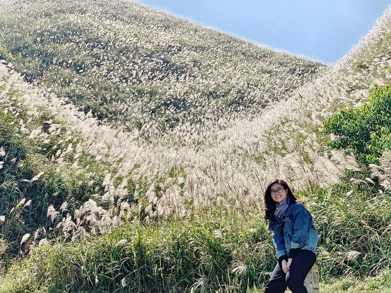 Màu cỏ lau nở trắng khắp vùng đồi núi Bình Liêu