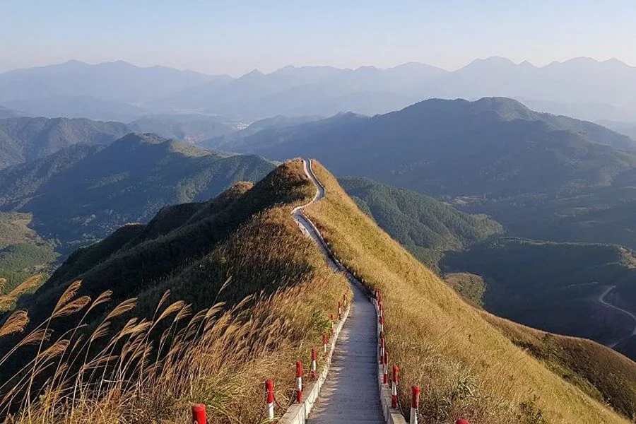 Sống lưng khủng long Bình Liêu