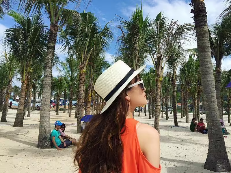 Check-in với hàng dừa trên bãi biển Bãi Cháy