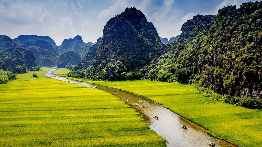 Rice fields in Tam Coc, Ninh Binh