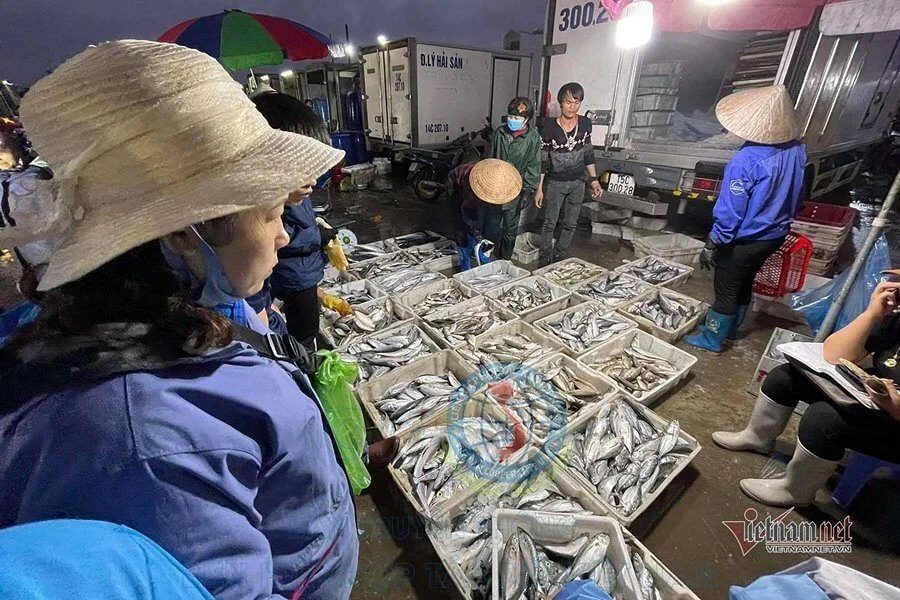 Chợ cá sáng sớm tại Cao Xanh, Hòn Gai