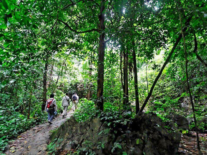 visit-cuc-phuong-national-park