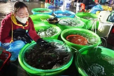 6 local seafood markets in Halong city