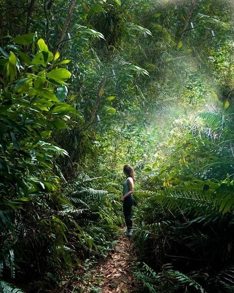 Cat Ba national park