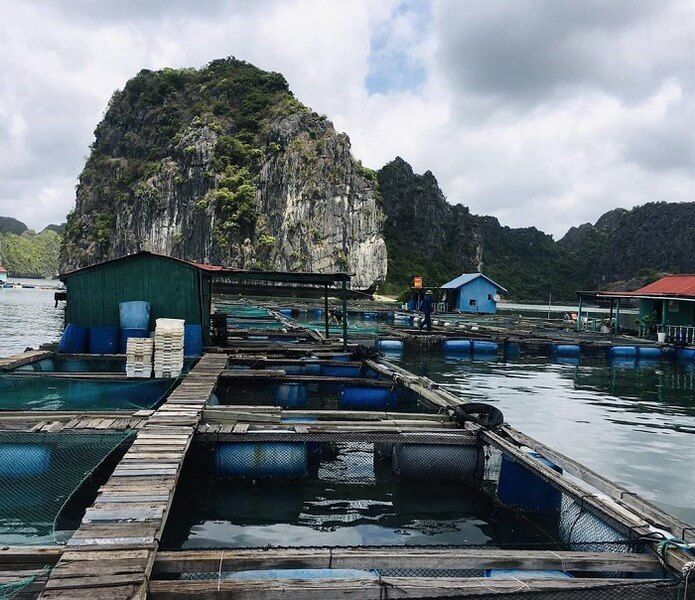 Cai Beo fishing village 