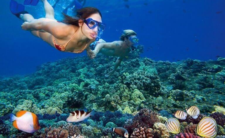 Diving to Explore Coral Reefs