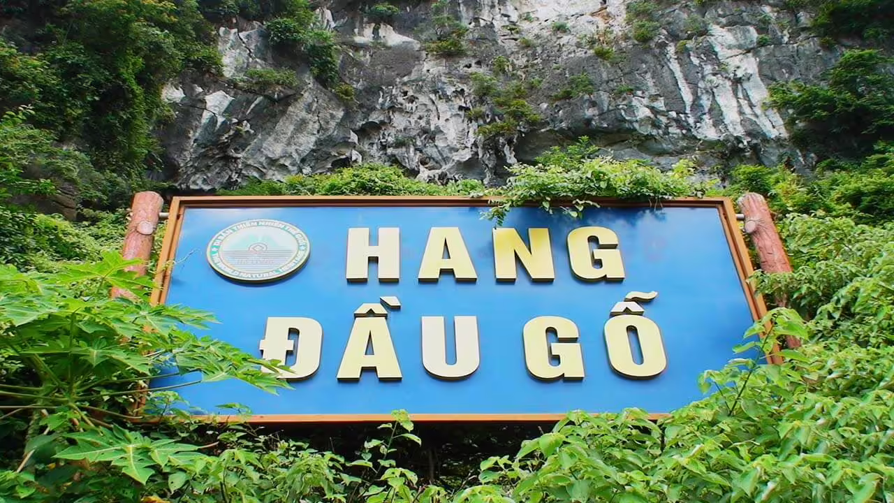 Hang Đầu Gỗ