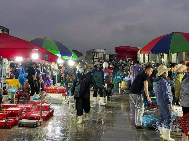 The bustling scenery at the seafood markets in Halong.