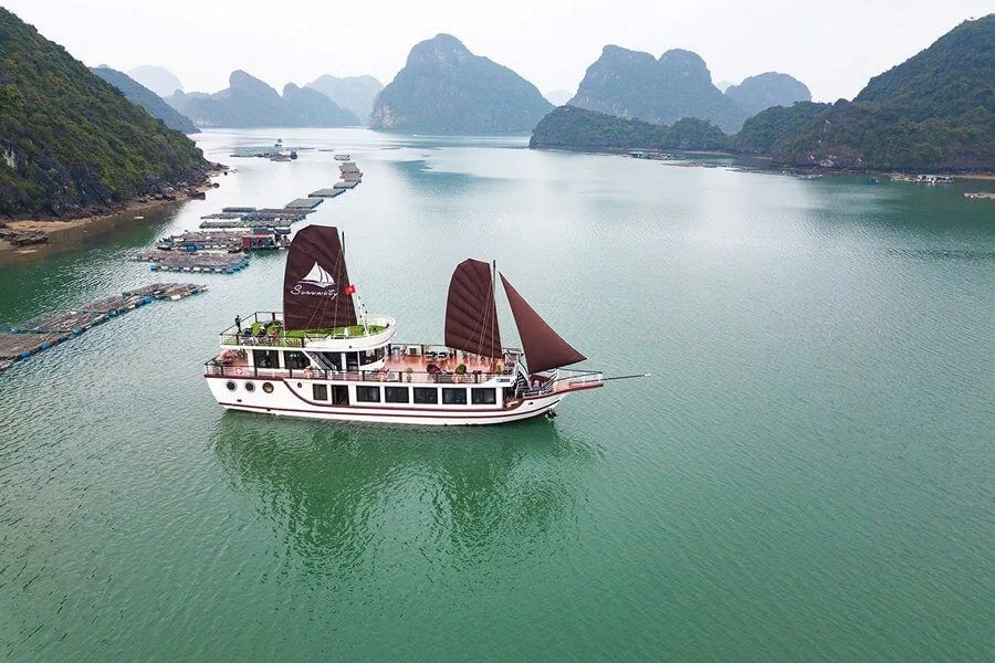 Du Thuyen Serenity Premium