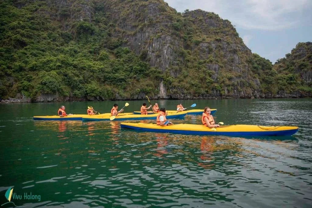 Tour du thuyền Hạ Long 2 ngày 1 đêm
