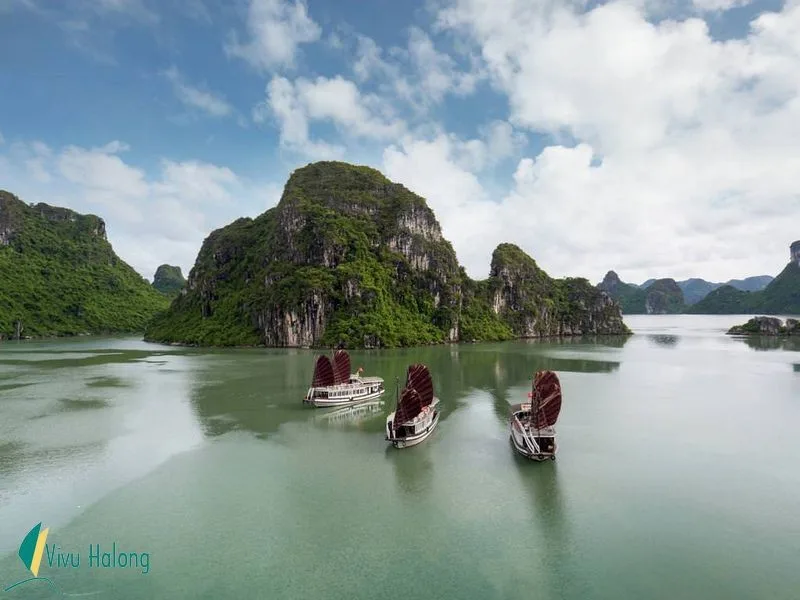 Genesis One Day Cruise Halong Bay 4