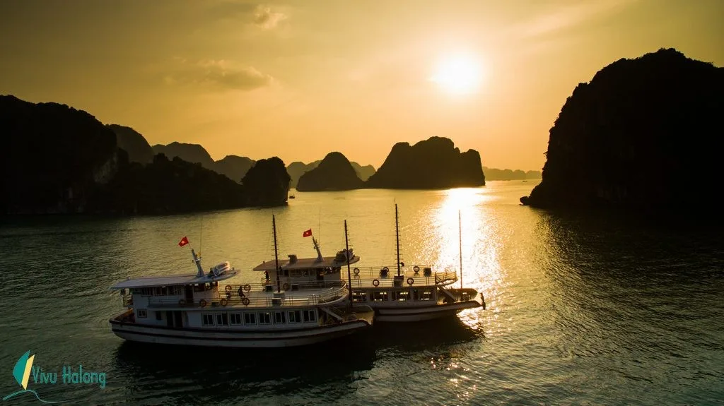 Halong Bay One Day Tour Sen Cruise 3