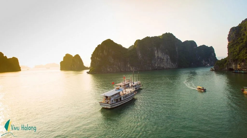 Halong Bay One Day Tour Sen Cruise 6