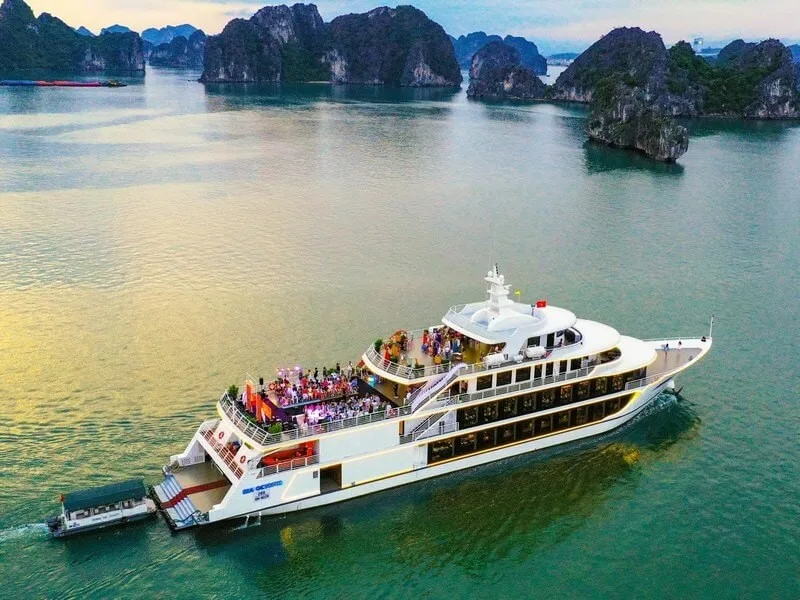 Sea Octopus cruise – day tour