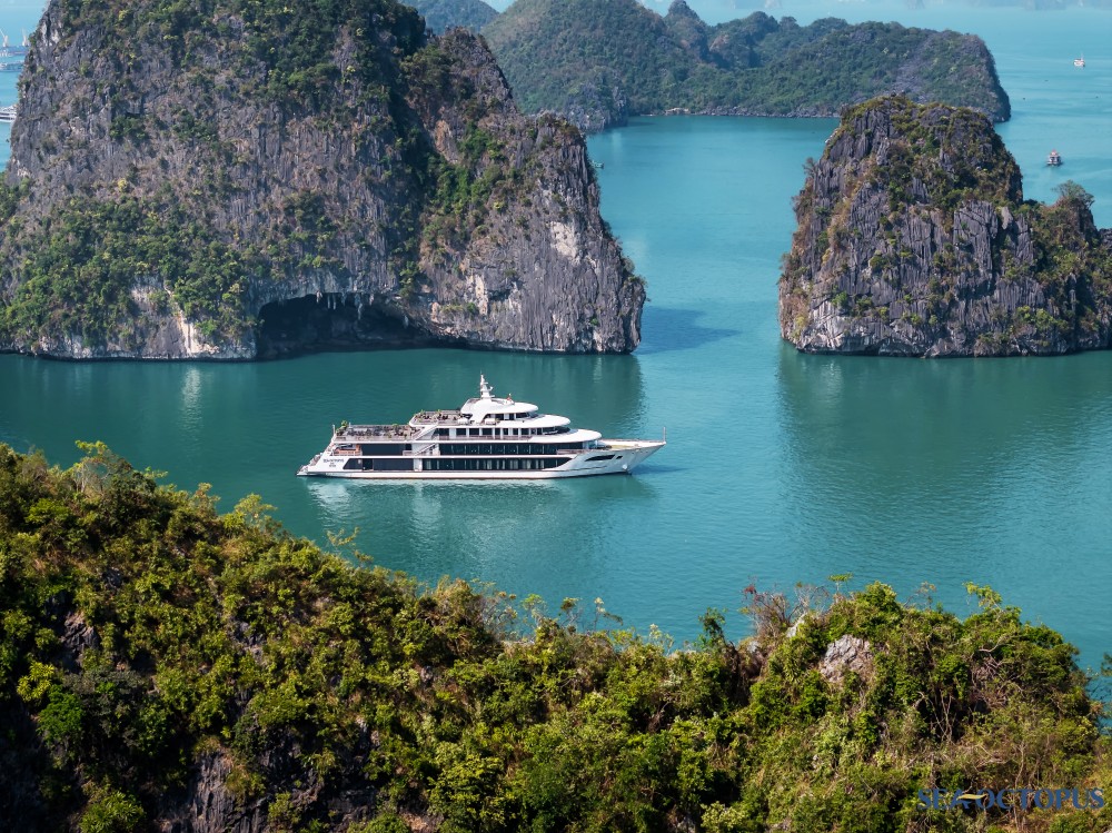 Sea Octopus Cruise