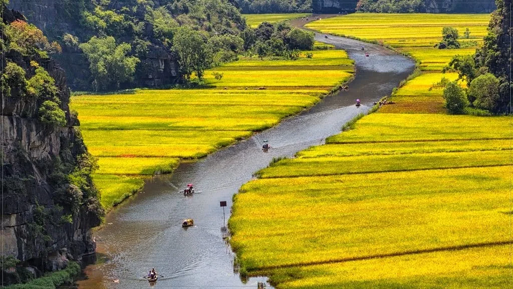 Tour Hoa Lư - Tam Cốc - Hang Múa 1 ngày