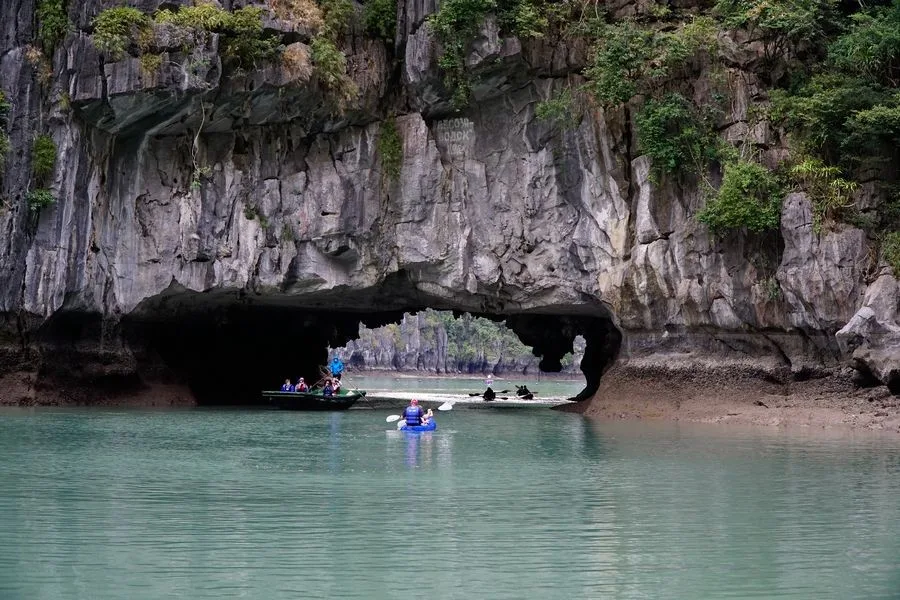 Tham Hang Luon Vinh Ha Long